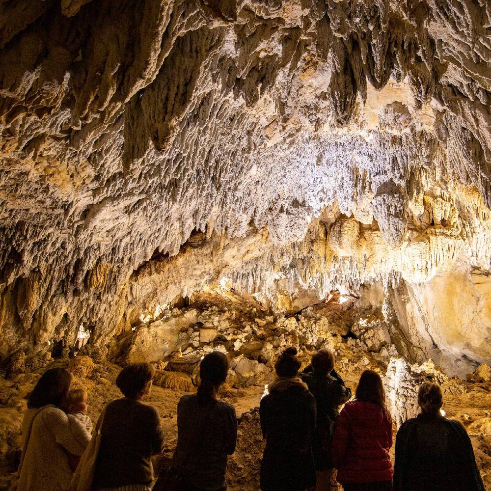 Grupo admirando las formaciones de la Cueva de Urdazubi/Urdax